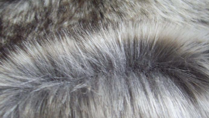 1610675476913079920.png 1610675476913079920.png